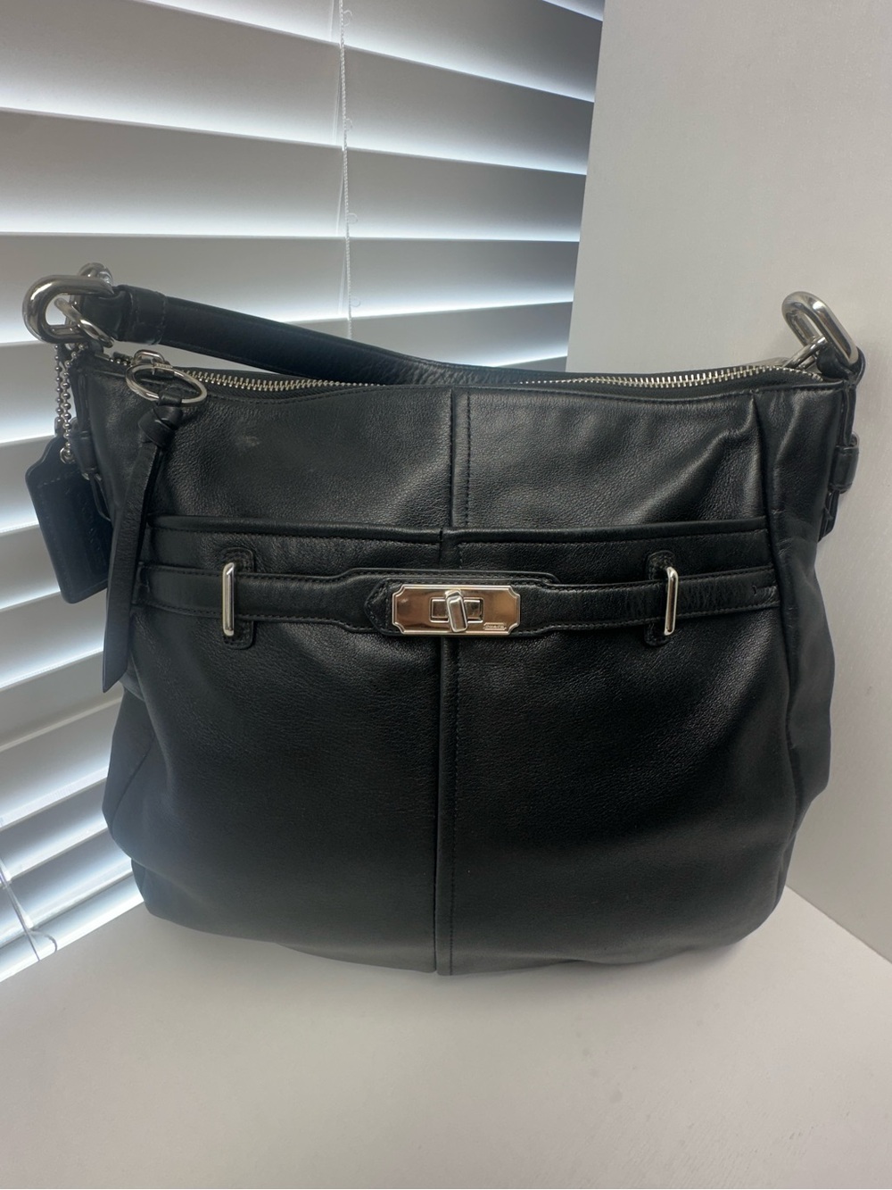 Coach Black Leather Chelsea Ashlyn Hobo Shoulder Bag 17816